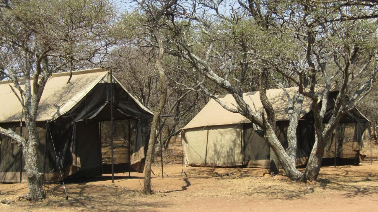Zebra Nature Reserve Cullinan Exterior foto