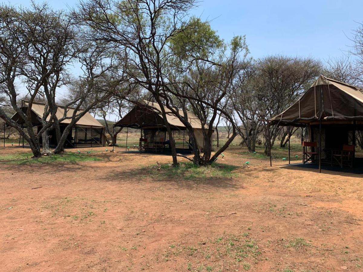 Zebra Nature Reserve Cullinan Exterior foto