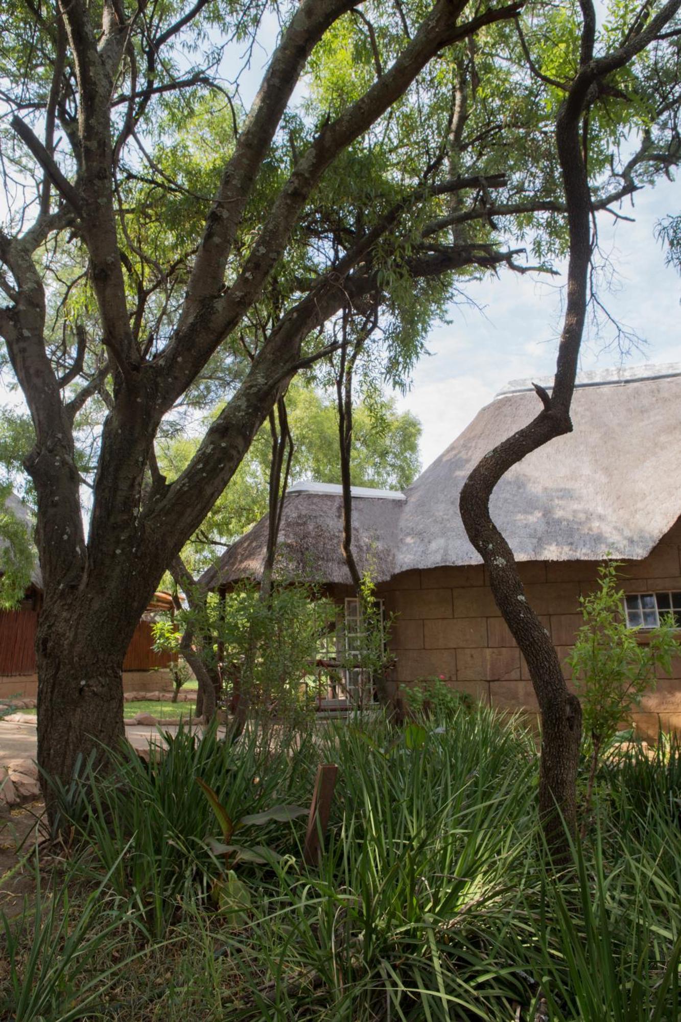 Zebra Nature Reserve Cullinan Exterior foto